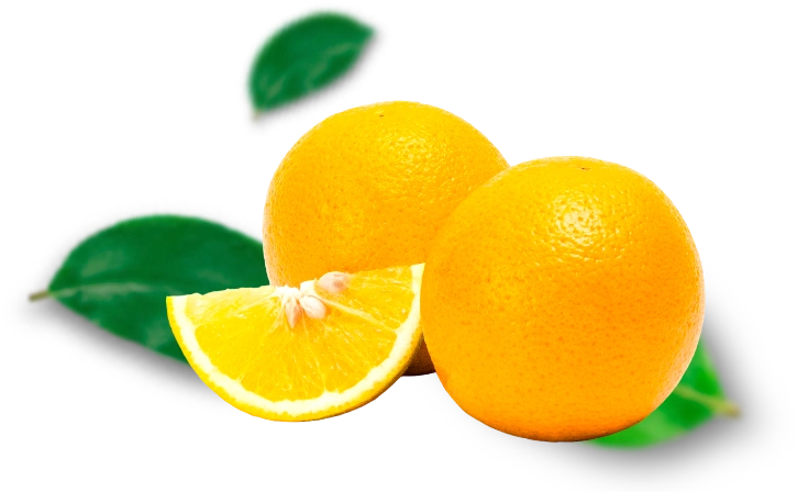 Alfa Citrus | Produção e Comércio de Citrus