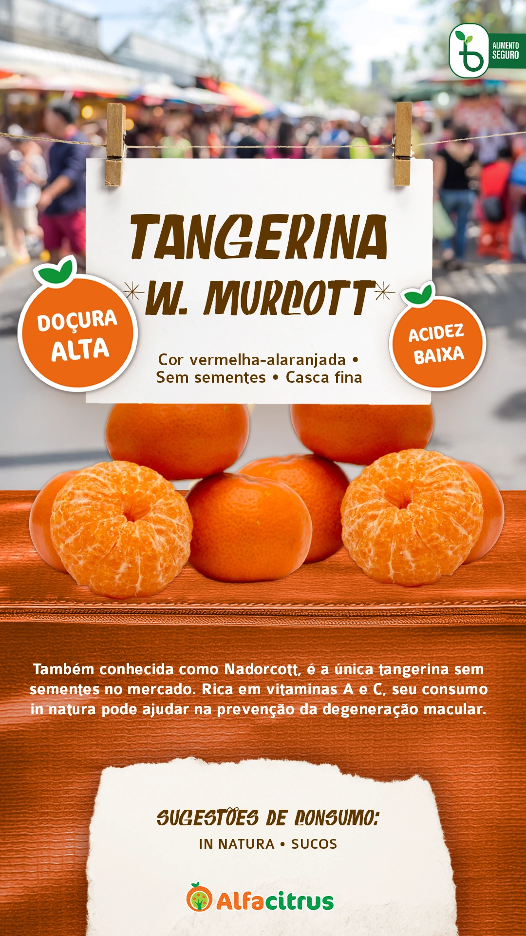 Tangerina W Murcott