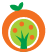 Alfa Citrus | Produção e Comércio de Citrus
