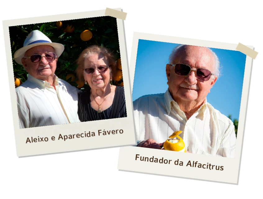 Legado - Aleixo Fávero