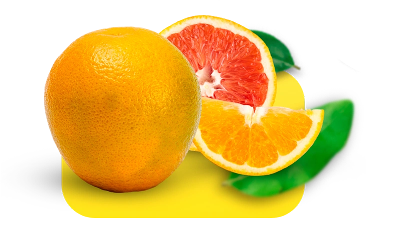 Nossas Laranjas