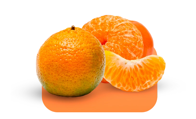 Nossas Tangerinas