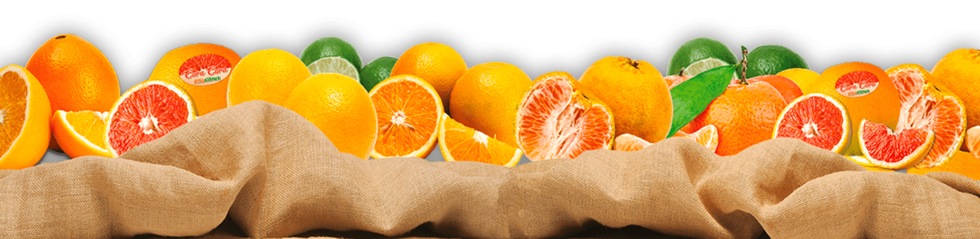 Alfa Citrus | Produção e Comércio de Citrus