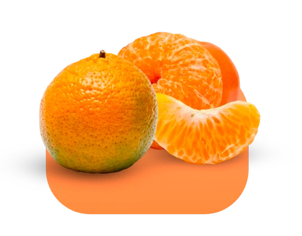 Tangerinas Alfacitrus