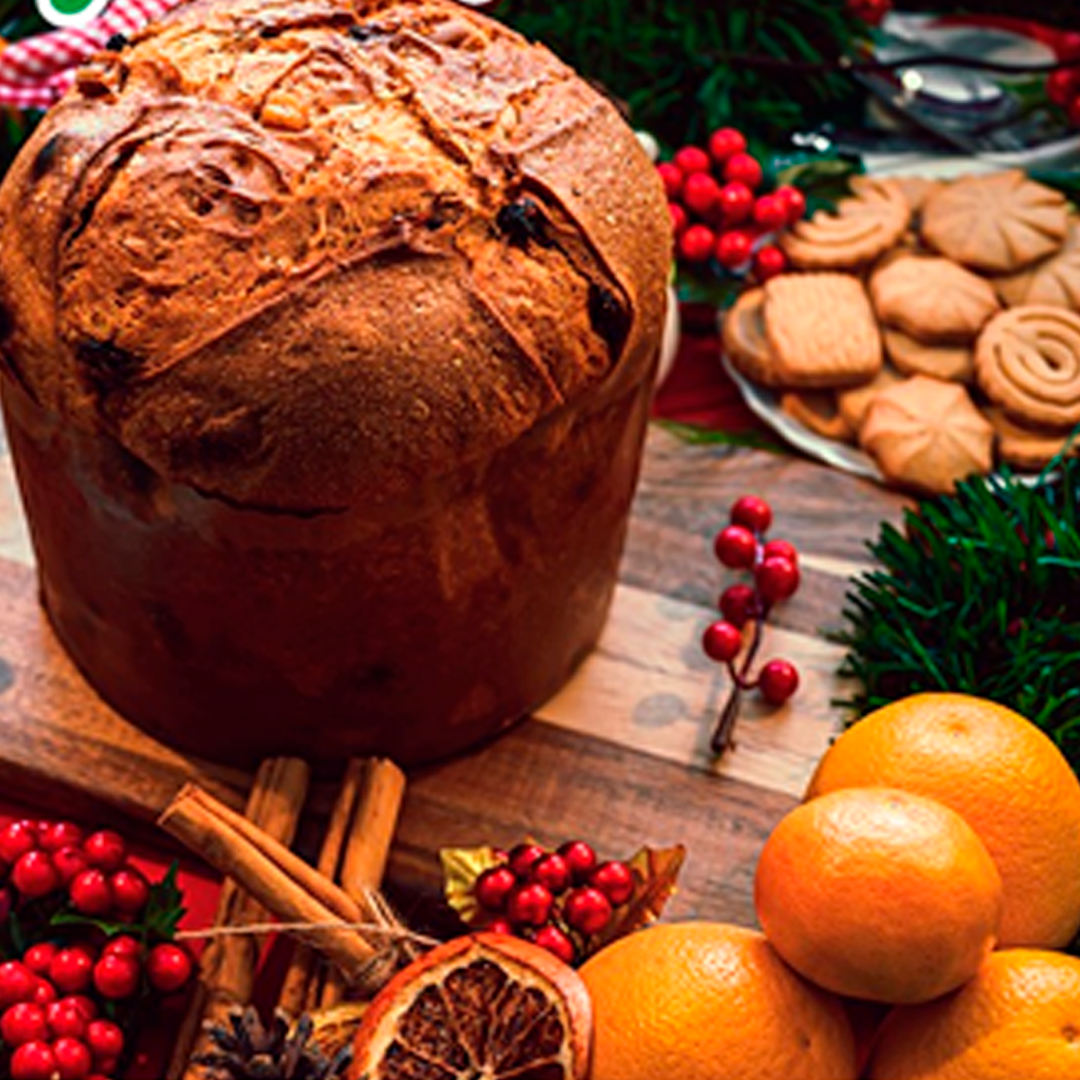 Panetone ao Creme de Laranja AlfaCitrus
