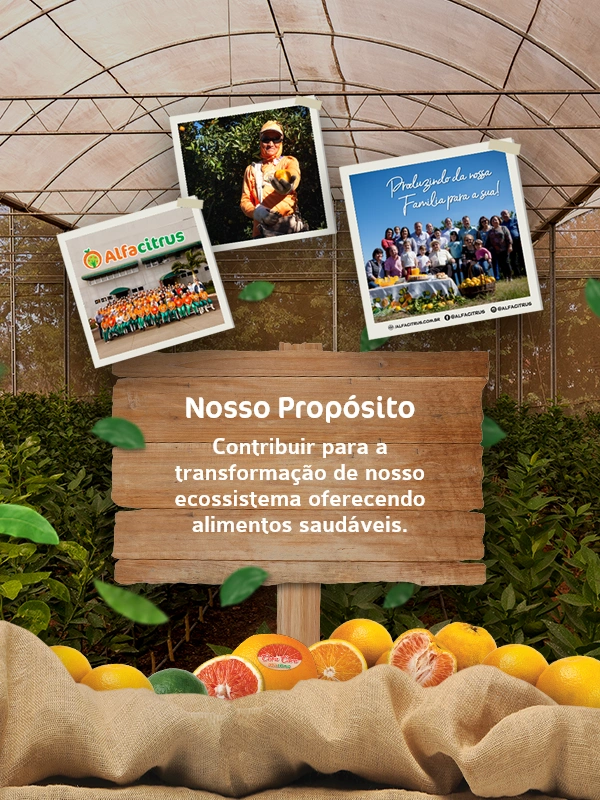 Alfa Citrus | Produção e Comércio de Citrus