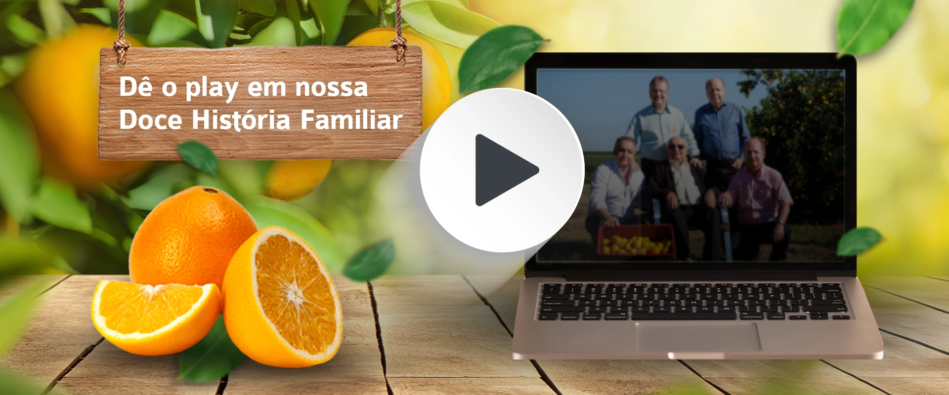Alfa Citrus | Produção e Comércio de Citrus