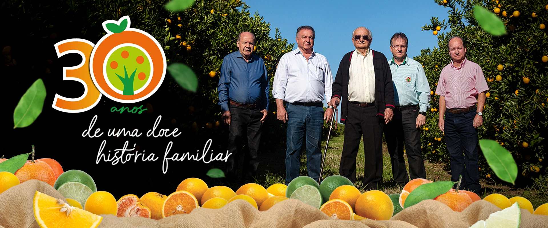 Alfa Citrus | Produção e Comércio de Citrus