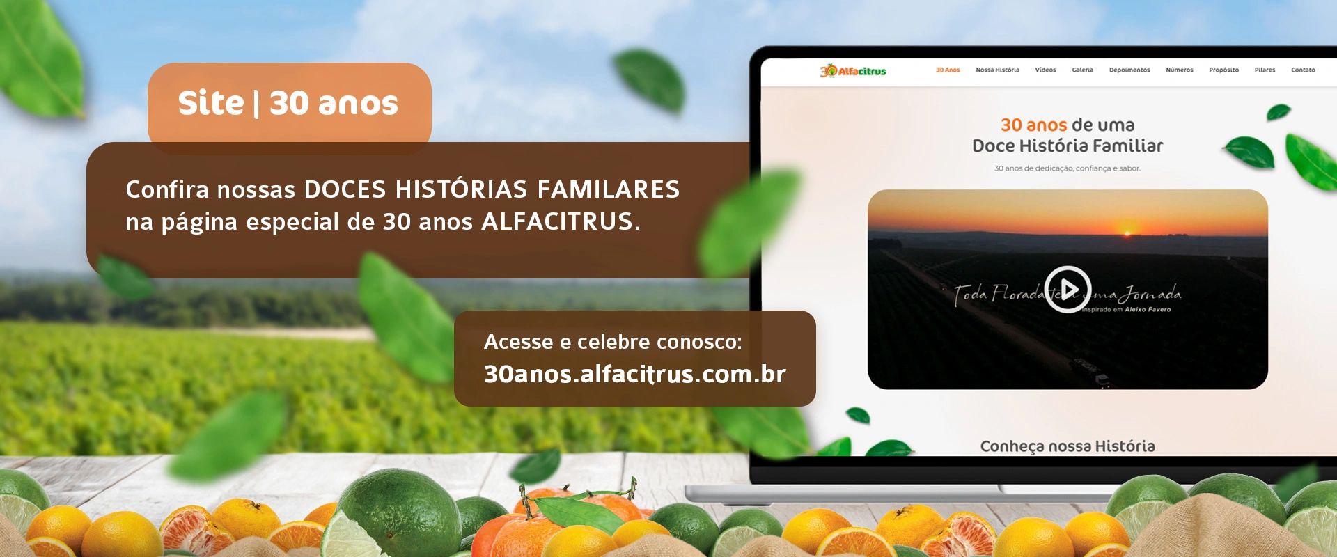 Alfa Citrus | Produção e Comércio de Citrus